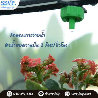 การกระจายน้ำของหัวน้ำหยด