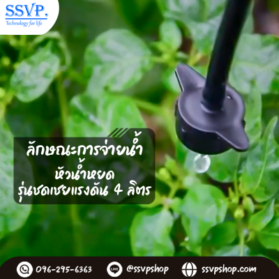 การกระจายน้ำของหัวน้ำหยด การกระจายน้ำของหัวน้ำหยด
