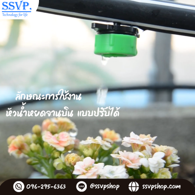 เทคนิคการให้น้ำในปริมาณที่เหมาะสม