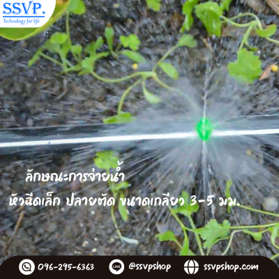 การกระจายน้ำของหัวฉีดสเปรย์ การกระจายน้ำของหัวฉีดสเปรย์