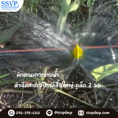การกระจายน้ำของหัวฉีดสเปรย์