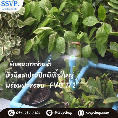 การกระจายน้ำของหัวฉีดสเปรย์