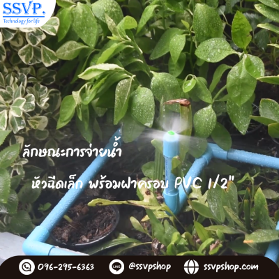 การกระจายน้ำของหัวฉีดสเปรย์