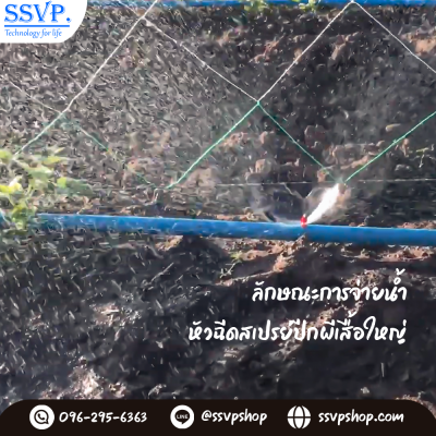 การกระจายน้ำของหัวฉีดสเปรย์ 