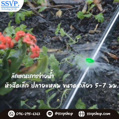 การกระจายน้ำของหัวฉีดสเปรย์