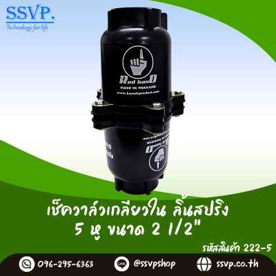 เช็ควาล์วเกลียวใน ลิ้นสปริง ขนาด 2-1/2 นิ้ว