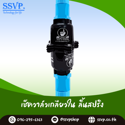 เช็ควาล์วเกลียวใน ลิ้นสปริง ขนาด 4 นิ้ว