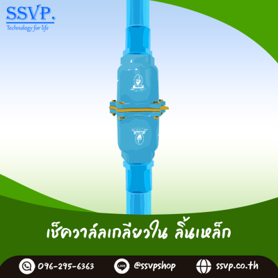 เช็ควาล์วลิ้นเหล็ก เกลียวในขนาด 4 นิ้ว