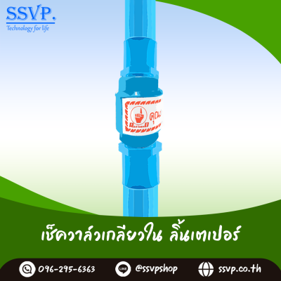 เช็ควาล์วเกลียวใน ลิ้นเตเปอร์ ขนาด 2 นิ้ว