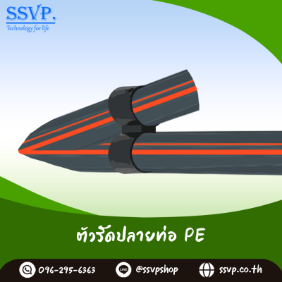 ตัวรัดปลายท่อ PE  ขนาด 20 มม. รหัสสินค้า 379-20P