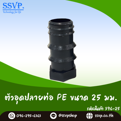 ตัวอุดปลายท่อ PE ขนาด 25 มม. แพ็ค 50 ตัว