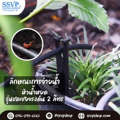 หัวน้ำหยดรุ่นปรับชดเชยแรงดัน 2 ลิตร/ชม. เสียบสายไมโคร 3/5 มม. แพ็ค 10 ตัว