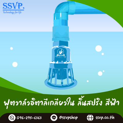 ฟุตวาล์วอิตาลีเกลียวในลิ้นสปริง สีฟ้า ขนาด 2-1/2 นิ้ว