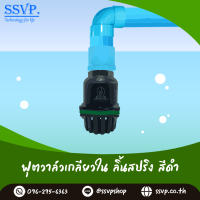 ฟุตวาล์วลิ้นสปริงเกลียวใน ขนาด 4 นิ้ว สีดำ 5 หู