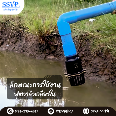 ฟุตวาล์วลิ้นสปริงเกลียวใน ขนาด 4 นิ้ว สีดำ 5 หู