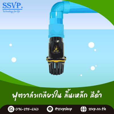 ฟุตวาล์วลิ้นเหล็กเกลียวใน ขนาด 2-1/2 นิ้ว สีดำ 5 หู(+1 หูสำหรับผูกกับทุ่นลอยน้ำ)