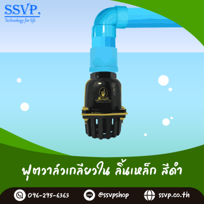 ฟุตวาล์วลิ้นเหล็กเกลียวใน ขนาด 2 นิ้ว สีดำ 5 หู (+1 หูสำหรับผูกกับทุ่นลอยน้ำ)