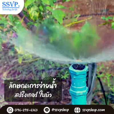สปริงเกอร์ใบบัว เกลียวนอกขนาด 1/2 นิ้ว แพ็ค 10 ตัว