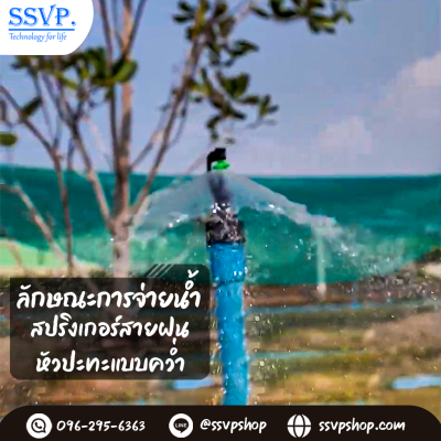 สปริงเกลอร์สายฝน (2in1) เกลียวในขนาด 3/4 x 1/2 นิ้ว (แพ็ก 5 ชิ้น)
