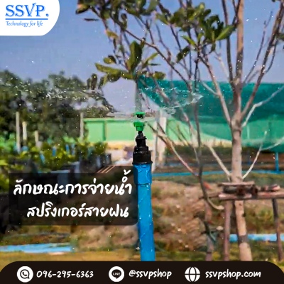 สปริงเกลอร์สายฝน (2in1) เกลียวในขนาด 3/4 x 1/2 นิ้ว (แพ็ก 5 ชิ้น)