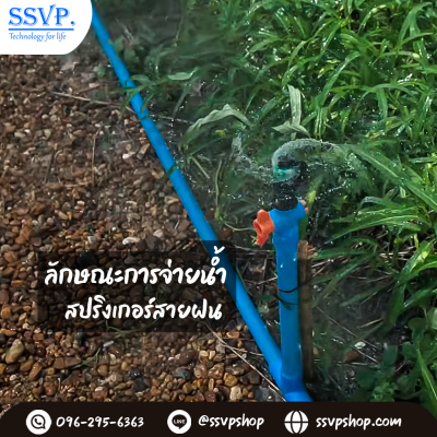 สปริงเกลอร์สายฝน เกลียวในขนาด 3/4 x 1/2 นิ้ว แพ็ก 10 ชิ้น