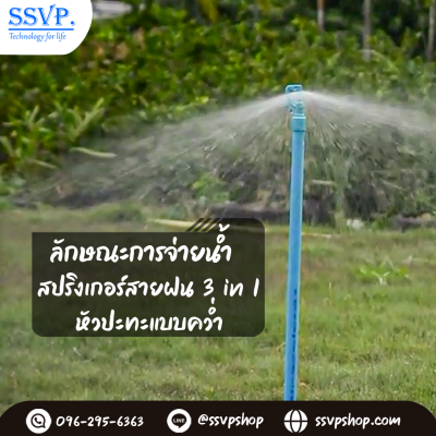 สปริงเกลอร์สายฝน PVC (3in1) ขนาด 1/2 นิ้ว (แพ็ก 5 ชิ้น)