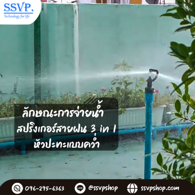สปริงเกลอร์สายฝน (3in1) ฝาครอบ PVC ขนาด 1/2 นิ้ว (แพ็ก 5 ชิ้น)