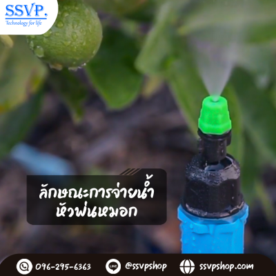 ชุดหัวพ่นหมอก 4 ทาง พร้อมขาปัก และสายไมโคร 60 ซม. แพ็ค 10 ชุด