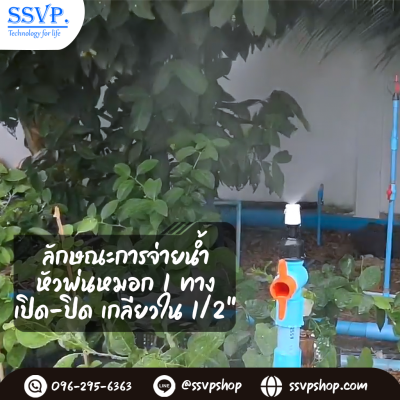 หัวพ่นหมอก 1 ทาง รุ่นเปิด-ปิดน้ำ เกลียวในขนาด 1/2 นิ้ว แพ็ค 10 ตัว