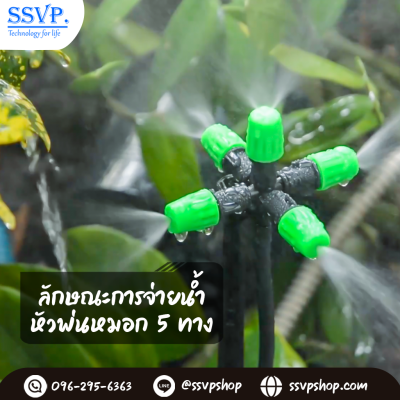หัวพ่นหมอก 5 ทาง เสียบท่อ PE รุ่นเปิด-ปิดน้ำ ขนาด 5/7 มม. แพ็ค 10 ตัว