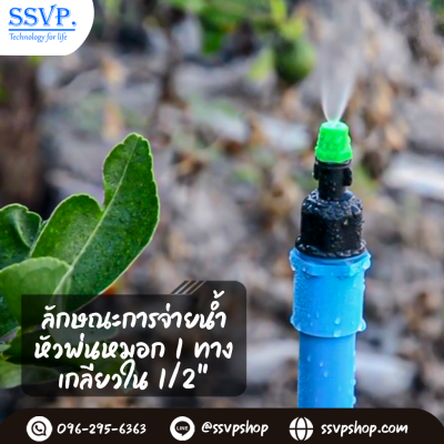 หัวพ่นหมอก 1 ทาง เกลียวในขนาด 1/2 นิ้ว แพ็ค 10 ตัว