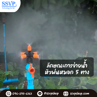 หัวพ่นหมอก 5 ทาง รุ่นเปิด-ปิดน้ำ พร้อมฝาครอบ PVC ขนาด 1/2 นิ้ว แพ็ค 10 ตัว