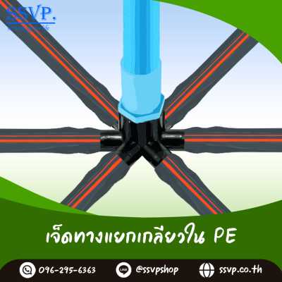ข้อต่อเจ็ดทางแยกเกลียวใน PE ขนาด 1 นิ้ว x 20 มม. แพ็ค 10 ตัว