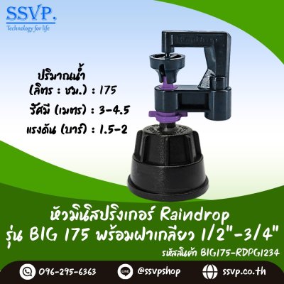 มินิสปริงเกอร์ RainDrop รุ่น BIG พร้อมฝาครอบเกลียวในขนาด 3/4"  บรรจุ 10 ตัว มินิสปริงเกอร์ RainDrop รุ่น BIG พร้อมฝาครอบเกลียวในขนาด 3/4"  บรรจุ 10 ตัว
