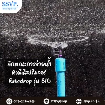ลักษณะการจ่ายน้ำของ RainDrop รุ่น BIG ลักษณะการจ่ายน้ำของ RainDrop รุ่น BIG