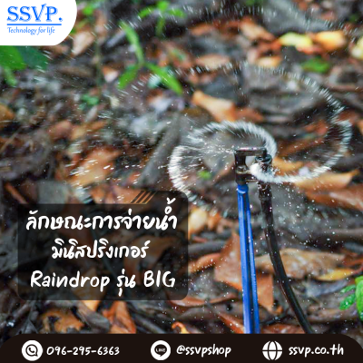 มินิสปริงเกอร์ RainDrop รุ่น BIG + ขาปัก บรรจุ 10 ตัว