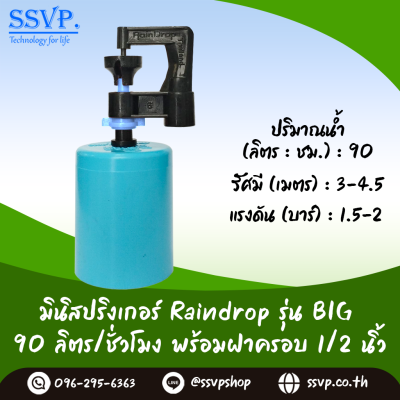 มินิสปริงเกอร์ RainDrop รุ่น BIG พร้อมฝาครอบ PVC ขนาด 1/2" บรรจุ 10 ตัว