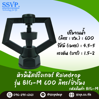 หัวจ่ายน้ำ RainDrop เกลียวใน ขนาด 1/2 x 3/4 นิ้ว รุ่น BIG-M แพ็ค 10 ตัว