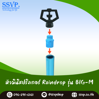 หัวจ่ายน้ำ RainDrop เกลียวใน ขนาด 1/2 x 3/4 นิ้ว รุ่น BIG-M แพ็ค 10 ตัว