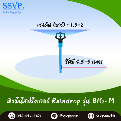 หัวจ่ายน้ำ RainDrop เกลียวใน ขนาด 1/2 x 3/4 นิ้ว รุ่น BIG-M แพ็ค 10 ตัว