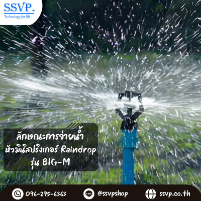 หัวจ่ายน้ำ RainDrop เกลียวใน ขนาด 1/2 x 3/4 นิ้ว รุ่น BIG-M แพ็ค 10 ตัว