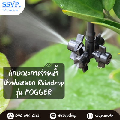 หัวพ่นหมอกสี่ทาง Raindrop  รุ่น Fogger บรรจุ 10 ตัว