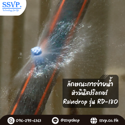 หัวฉีดสเปรย์ด้านเดียว 180 องศา Raindrop รุ่น RD-180G อัตราการจ่ายน้ำ 70 ลิตร/ชม. บรรจุ 100 ตัว