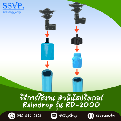 หัวจ่ายน้ำ  RAINDROP RD-2000  รูน้ำสีดำ อัตราการจ่ายน้ำ 200 ลิตร/ชม. บรรจุ 10 ตัว