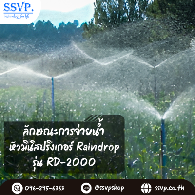 หัวจ่ายน้ำ  RAINDROP RD-2000  รูน้ำสีดำ อัตราการจ่ายน้ำ 200 ลิตร/ชม. บรรจุ 10 ตัว