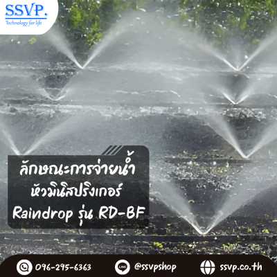 หัวฉัดปีกผีเสื้อ Raindrop รุ่น RD-BF กระจายน้ำ 360 องศา อัตราการให้น้ำ 120 ลิตร/ชม. บรรจุ 100 ตัว