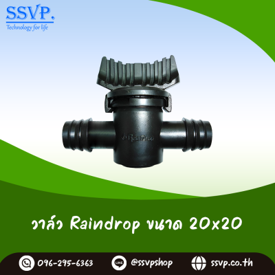 ข้อต่อบอลวาล์ว RainDrop 20 x 20 มม. แพ็ค 1 ตัว