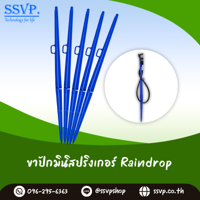 ขาปัก RainDrop สูง 40 ซม. แพ็ค 10 ซม.