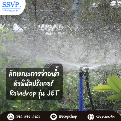 มินิสปริงเกอร์ RainDrop รุ่น JET พร้อมฝาครอบ PVC ขนาด 1/2 นิ้ว บรรจุ 10 ตัว