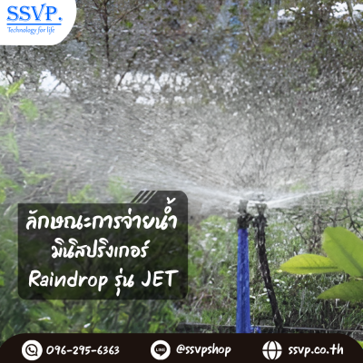 มินิสปริงเกอร์ RainDrop รุ่น JET + ขาปัก บรรจุ 10 ตัว